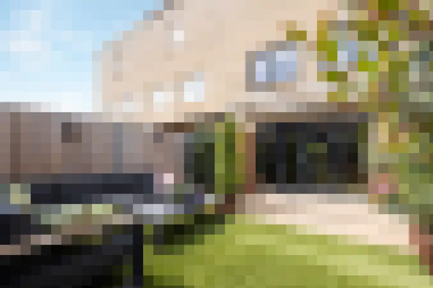 J. Paxtonstraat 41 Velserbroek thumbnail 24