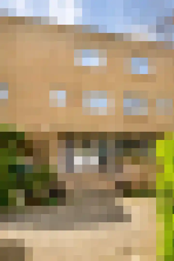 J. Paxtonstraat 79 Velserbroek thumbnail 8