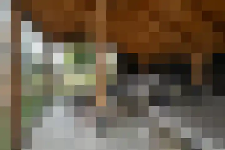J. Poortmanweg 35 Berkel en Rodenrijs thumbnail 57