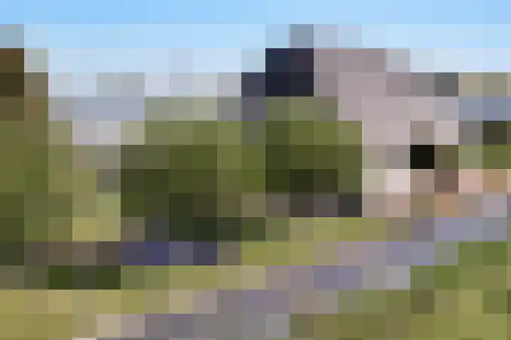 J. Poortmanweg 35 Berkel en Rodenrijs thumbnail 6