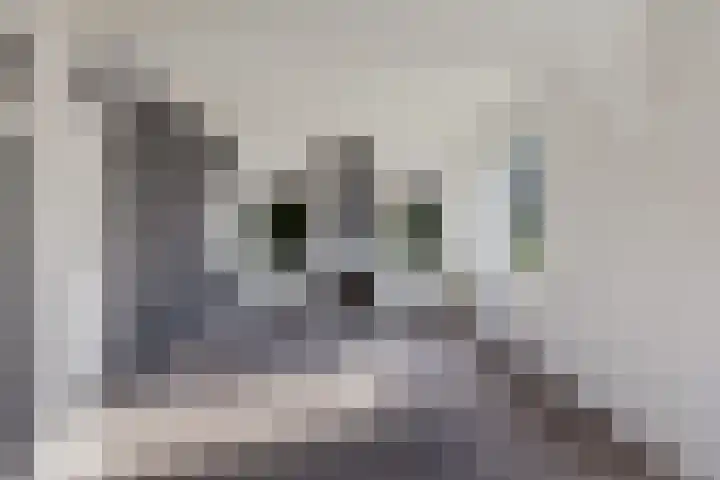 J.R. Kloostermanstrjitte 7 Damwâld thumbnail 10