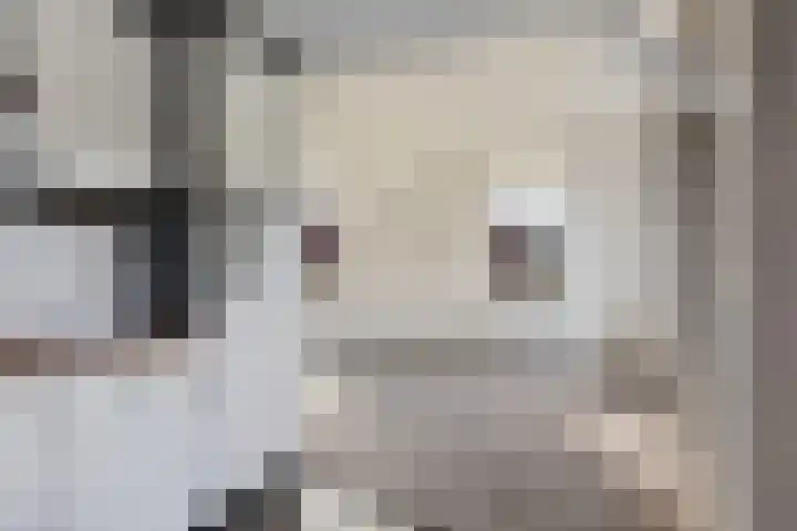 J.R. Kloostermanstrjitte 7 Damwâld thumbnail 12