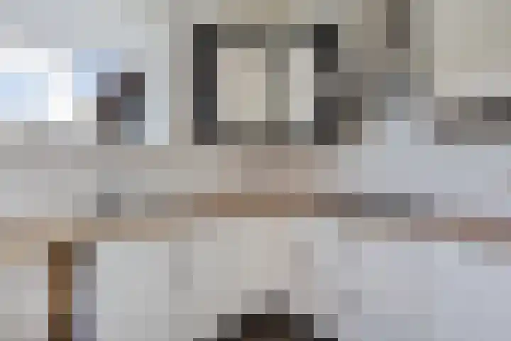 J.R. Kloostermanstrjitte 7 Damwâld thumbnail 14