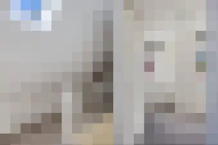 J.R. Kloostermanstrjitte 7 Damwâld thumbnail 18