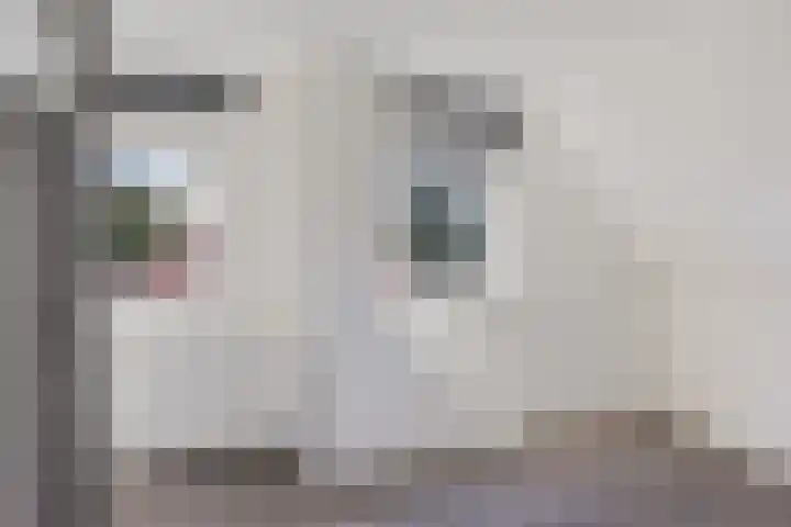 J.R. Kloostermanstrjitte 7 Damwâld thumbnail 20