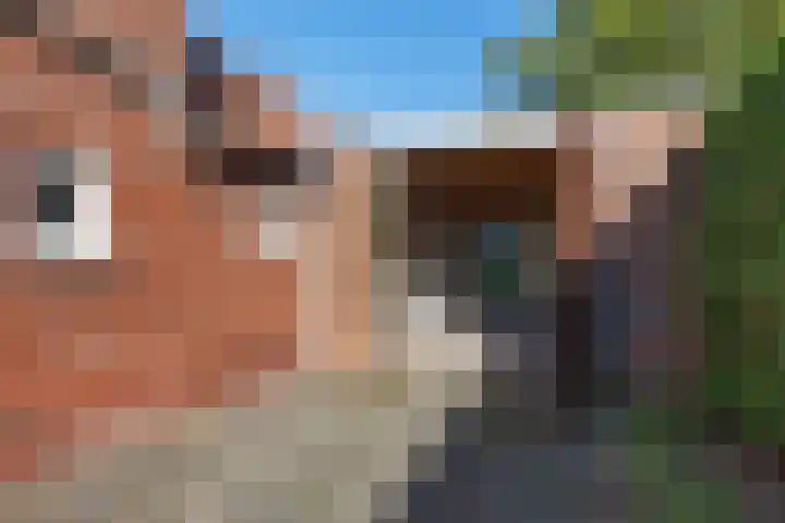 J.R. Kloostermanstrjitte 7 Damwâld thumbnail 33