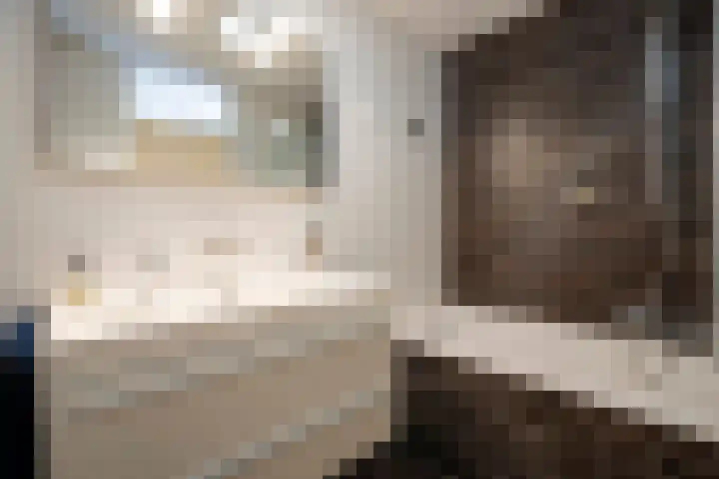 J.R. Thorbeckesingel 1 Papendrecht thumbnail 20