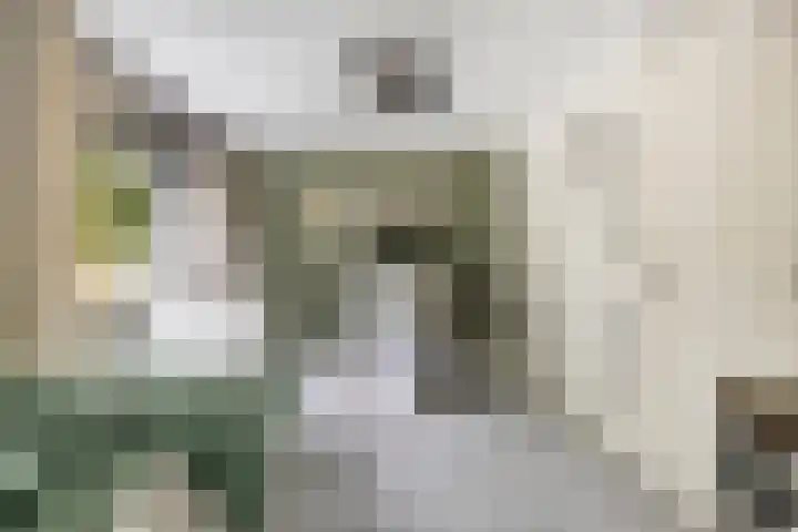 J.R. Thorbeckesingel 70 Papendrecht thumbnail 17