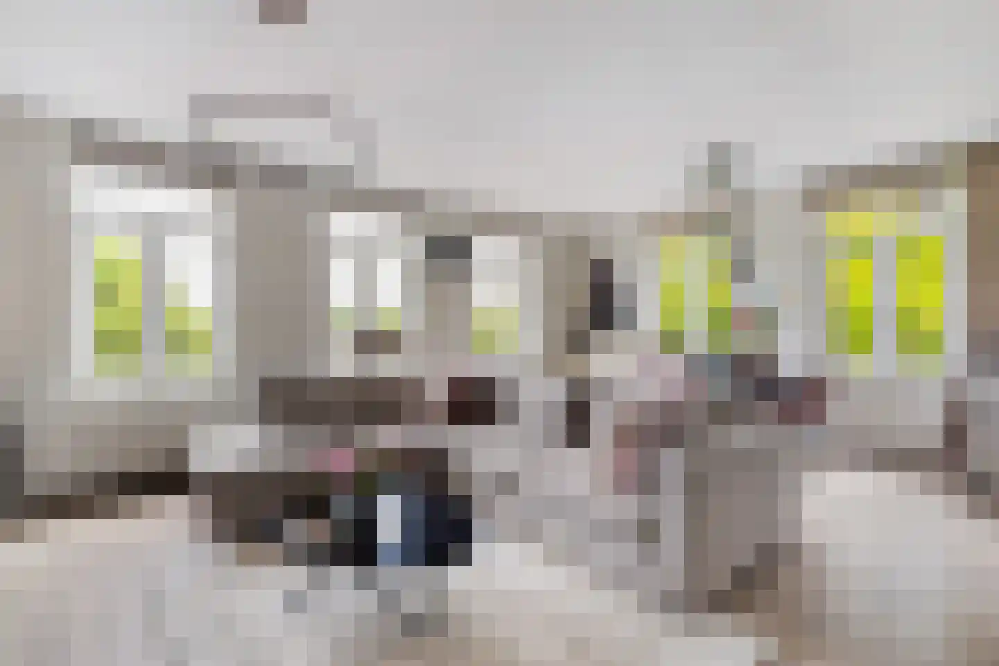 J. Reyneke van Stuwestraat 27 Maarssen thumbnail 15