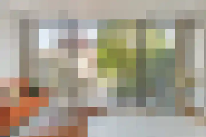 J. Reyneke van Stuwestraat 9 Maarssen thumbnail 11