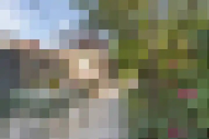 J. Reyneke van Stuwestraat 9 Maarssen thumbnail 26