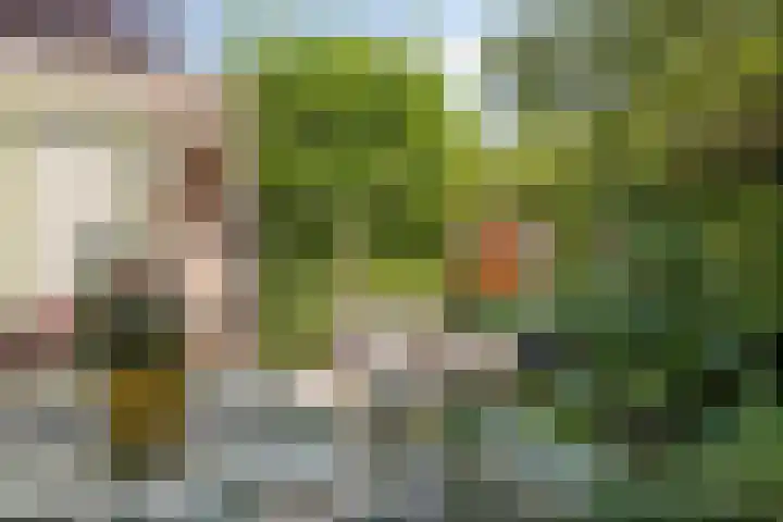 J. Reyneke van Stuwestraat 9 Maarssen thumbnail 27
