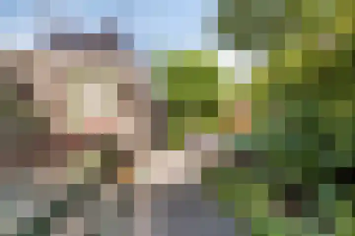 J. Reyneke van Stuwestraat 9 Maarssen thumbnail 28