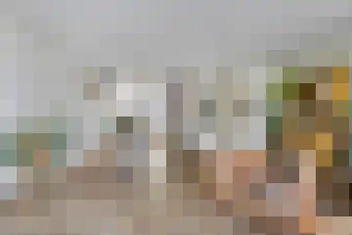 J. Reyneke van Stuwestraat 9 Maarssen thumbnail 5