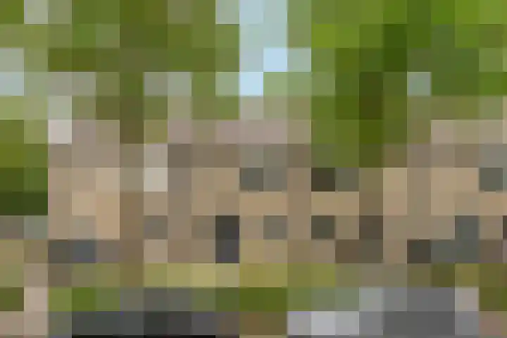 J.S. Bachweg 26 Almere thumbnail 6