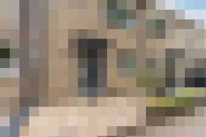 J.S. Bachweg 26 Almere thumbnail 7
