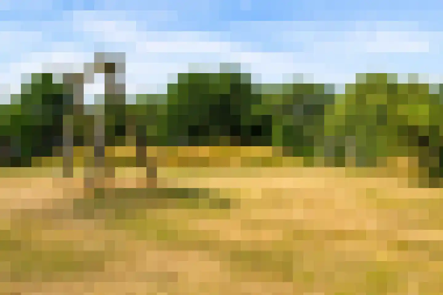 J.S. Bachweg 46 Almere thumbnail 38