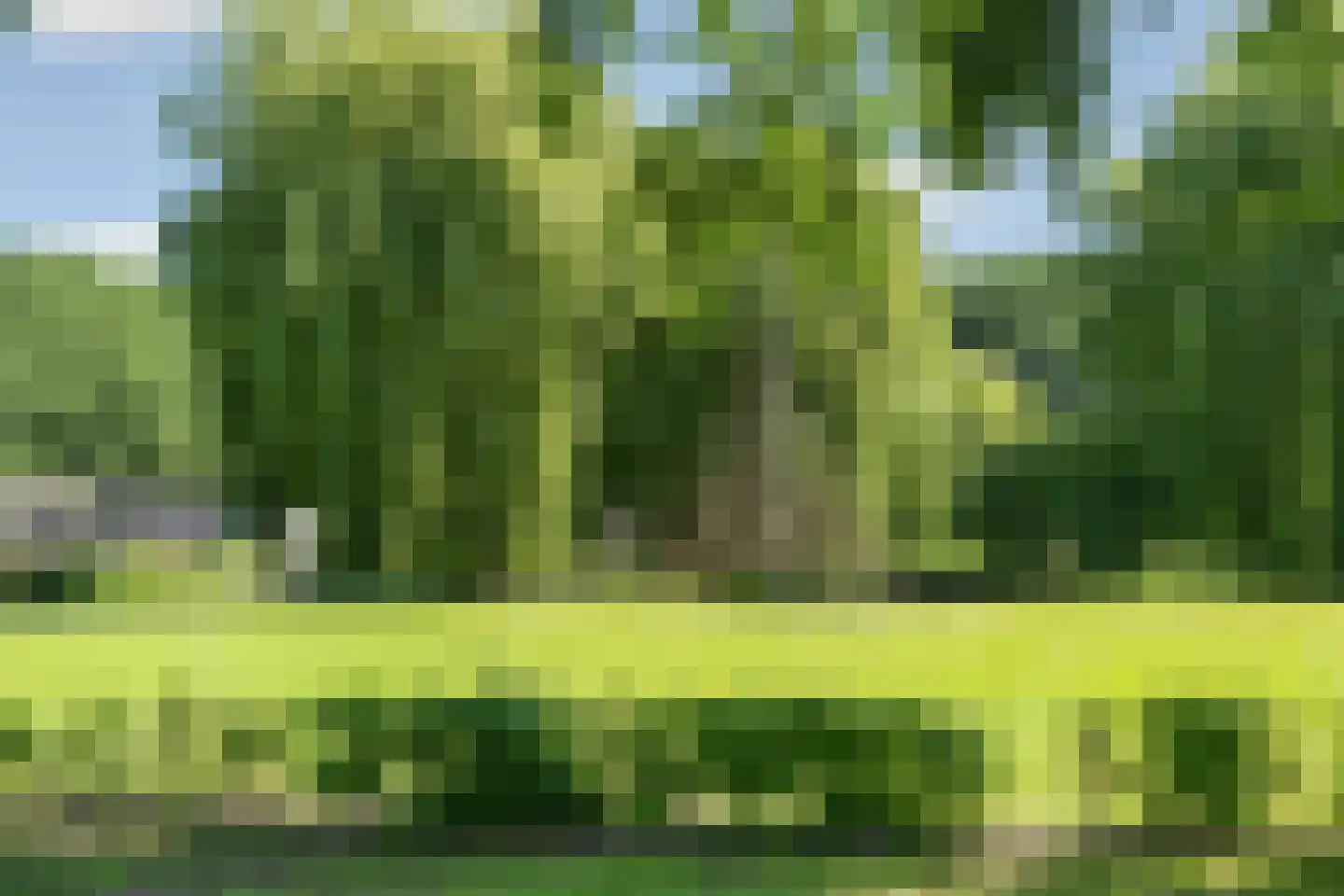 J. Springerpad 3 Almere thumbnail 32