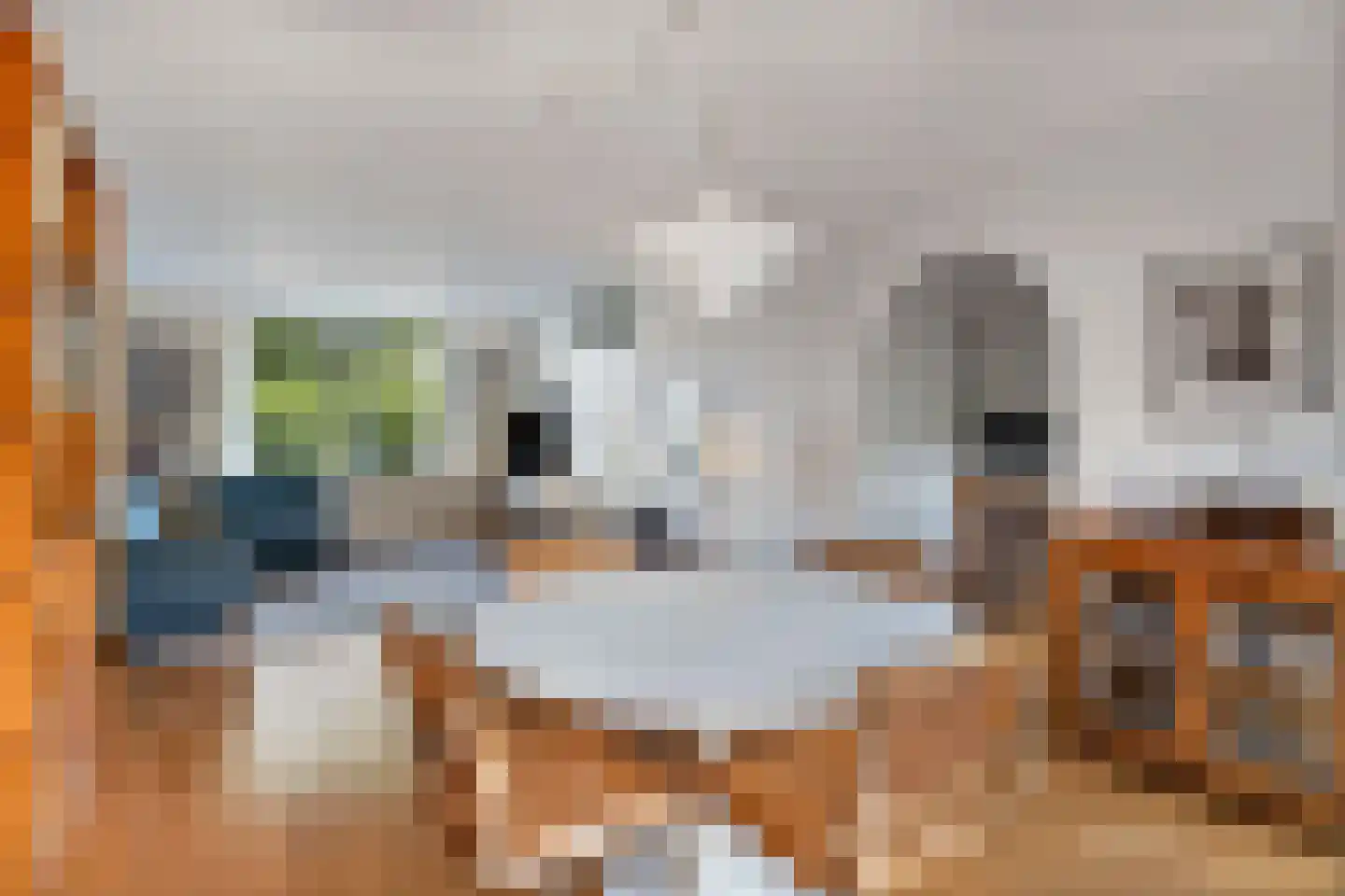 J. Springerpad 3 Almere thumbnail 6