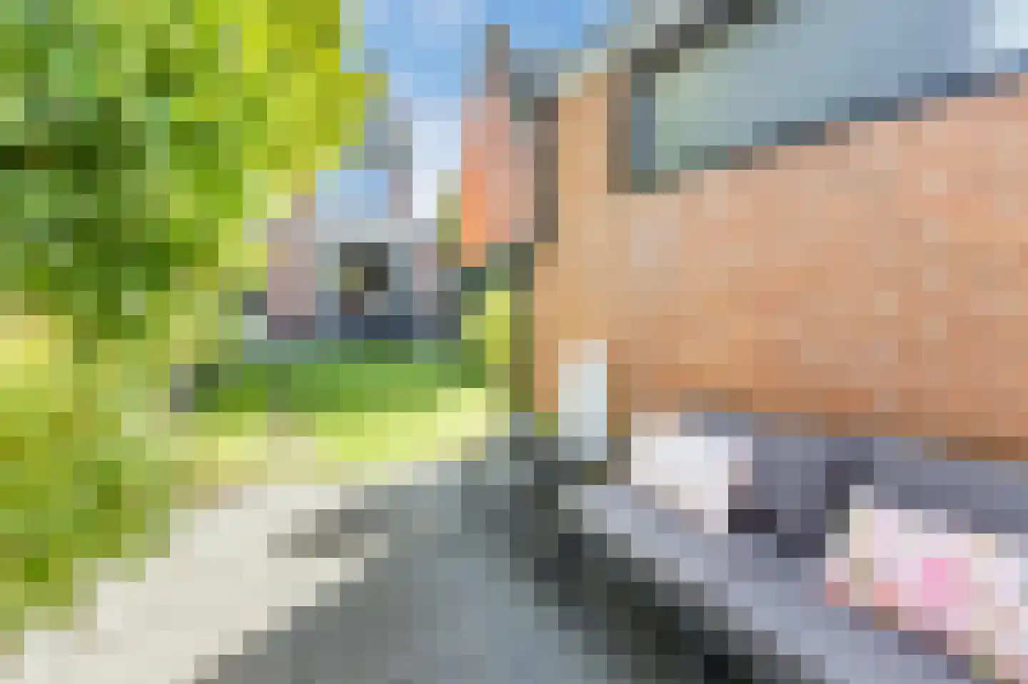 J.T. Cremerlaan 70 Santpoort-Noord thumbnail 42