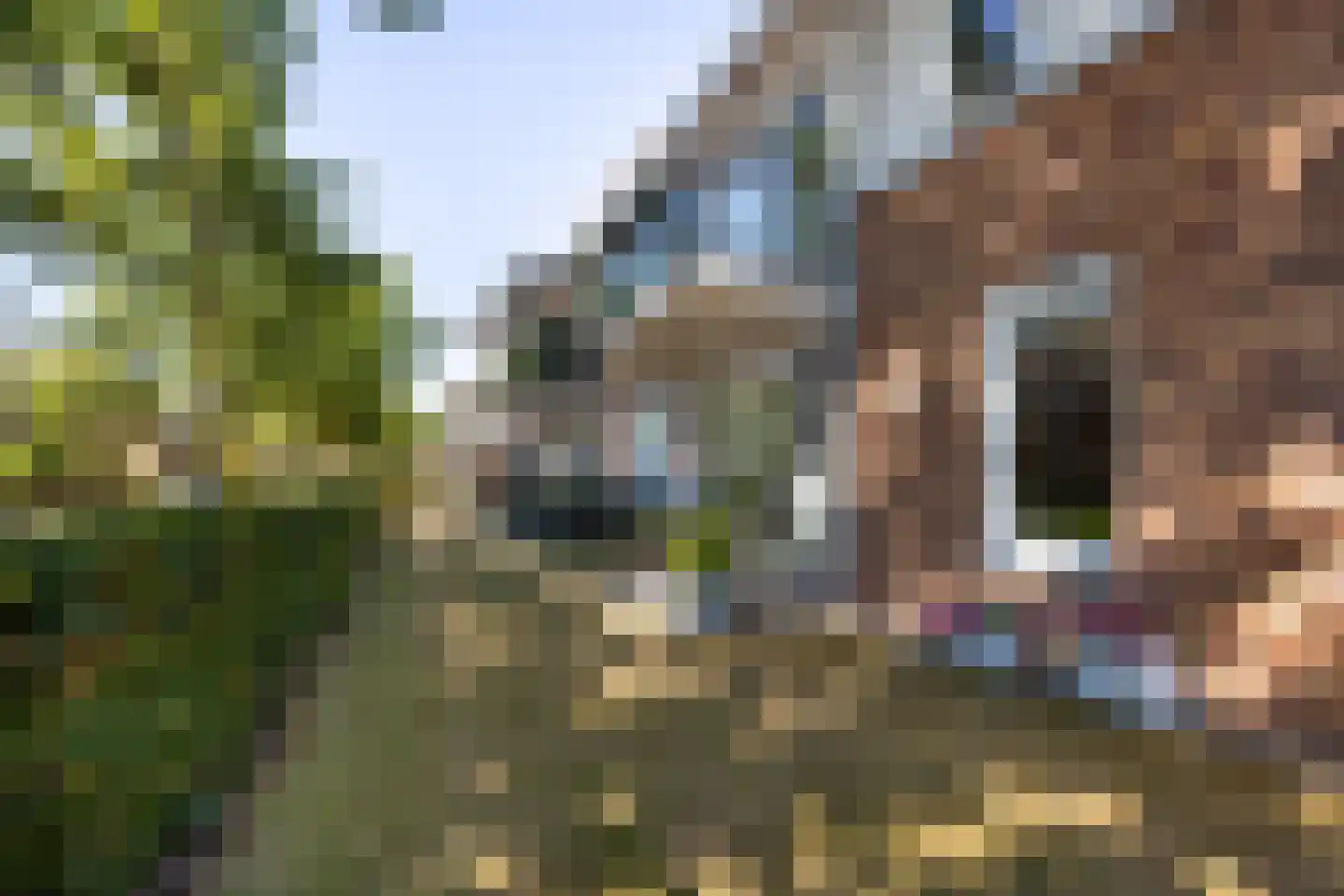 J.T. Cremerlaan 84 Santpoort-Noord thumbnail 20
