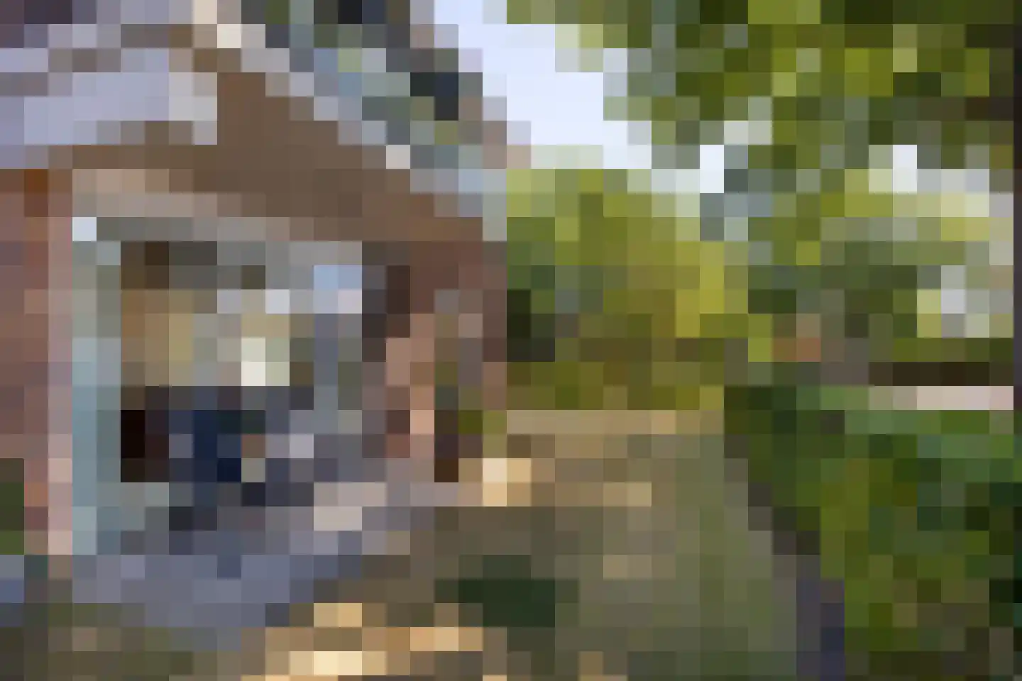 J.T. Cremerlaan 84 Santpoort-Noord thumbnail 8
