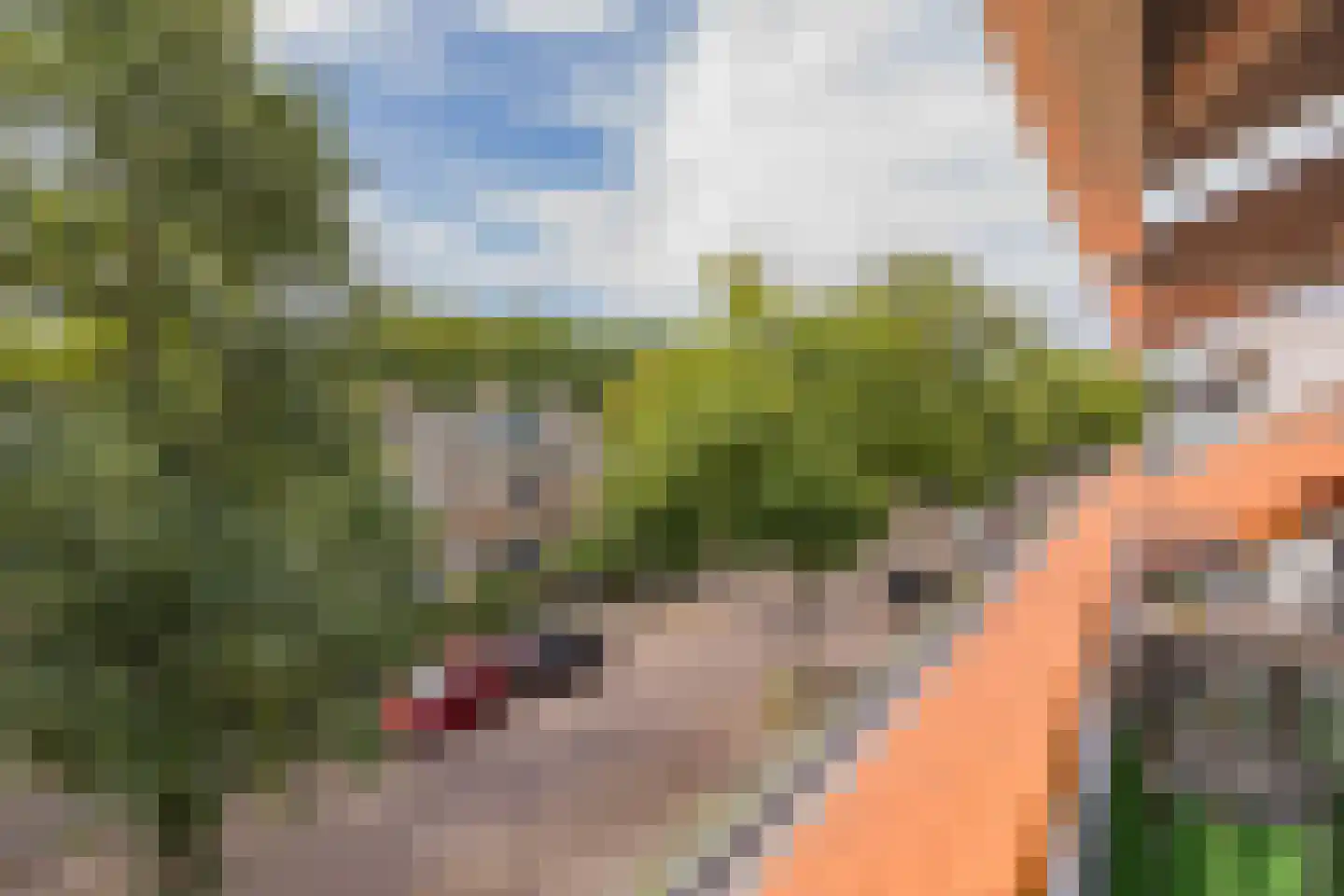 J.T. Cremerlaan 86 B Santpoort-Noord thumbnail 30