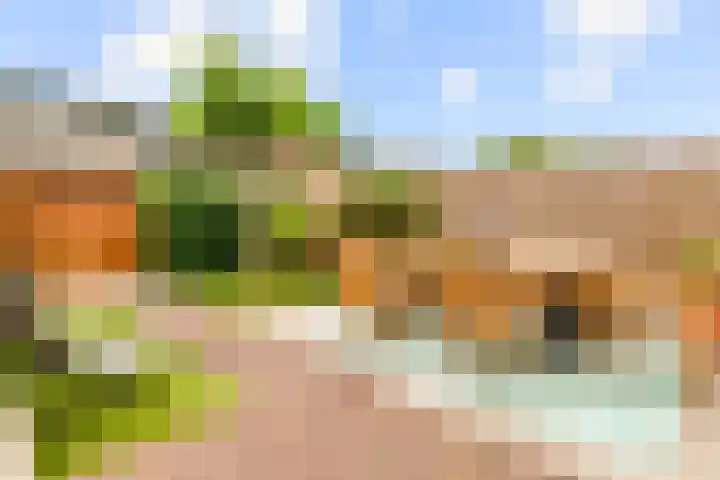 J.T. Cremerlaan 9 Santpoort-Noord thumbnail 23