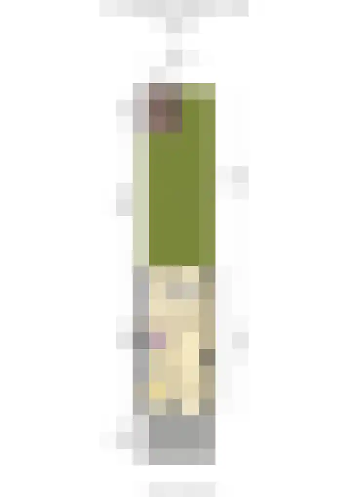 J.T. Cremerlaan 9 Santpoort-Noord thumbnail 58