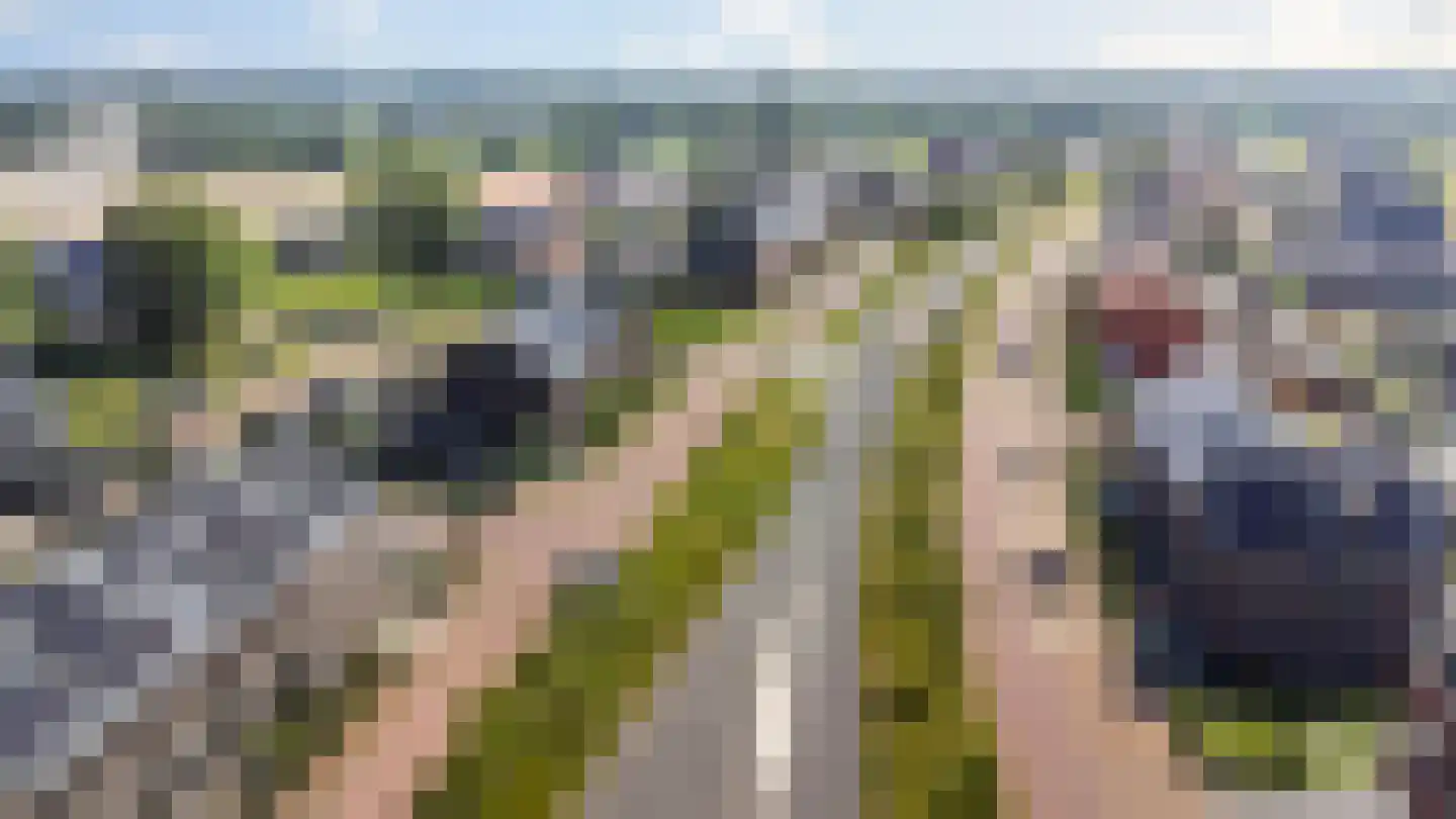 J.T. Kuyckstraat 40 Barneveld thumbnail 34