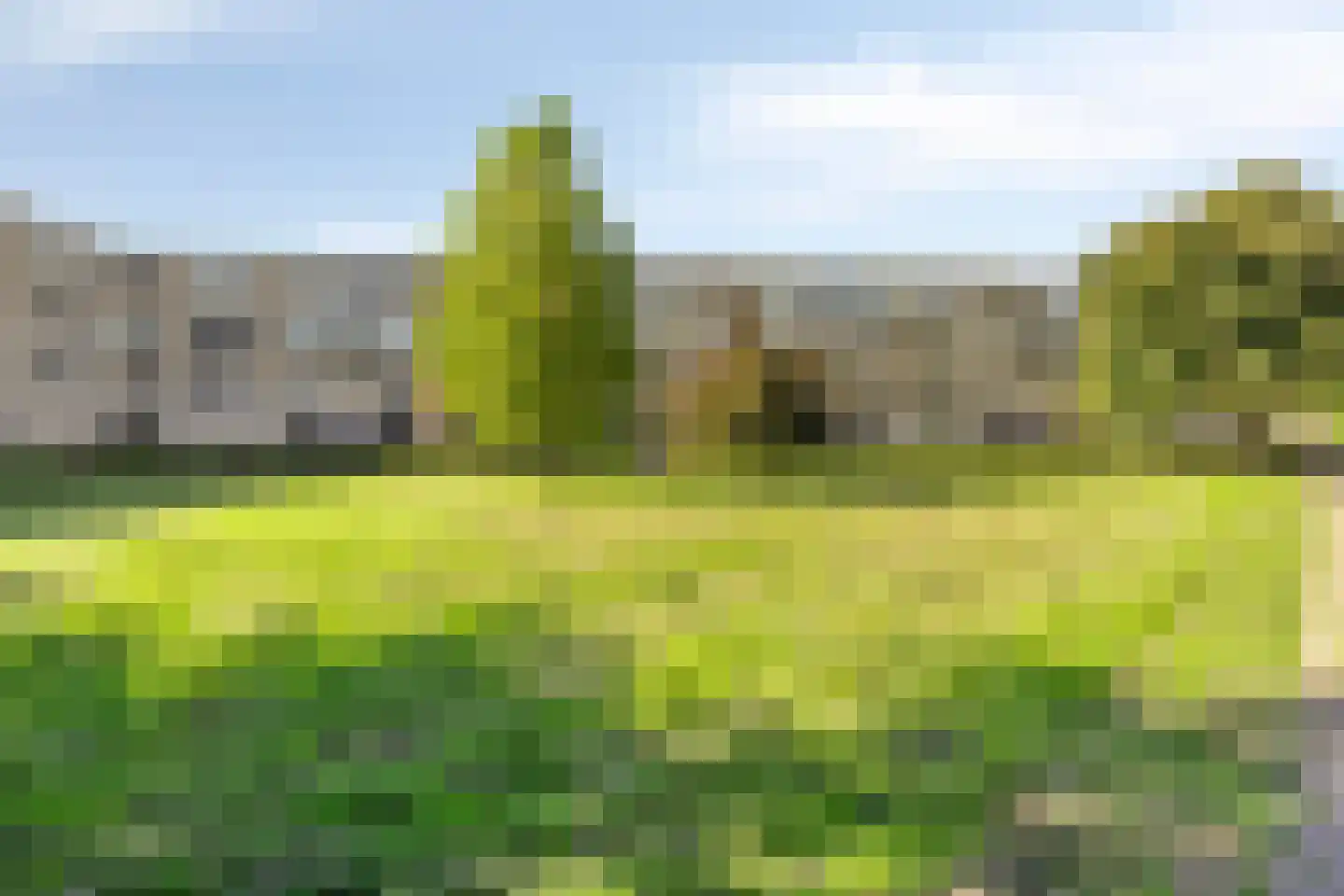 J.T.P. Bijhouwerhof 25 Almere thumbnail 28