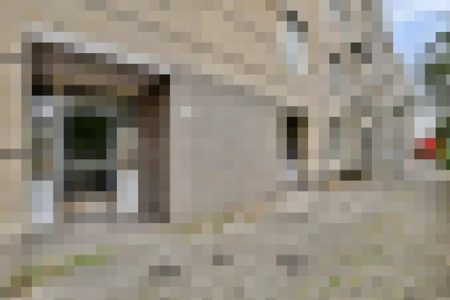 J.T.P. Bijhouwerhof 55 Almere thumbnail 4