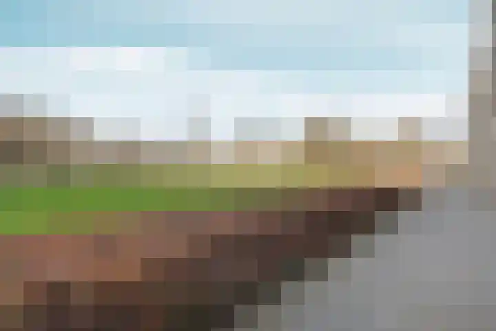 J.T.P. Bijhouwerhof 85 Almere thumbnail 33
