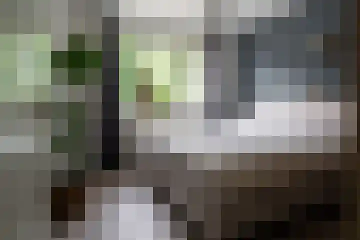 J. ten Catestraat 14 Vriezenveen thumbnail 4
