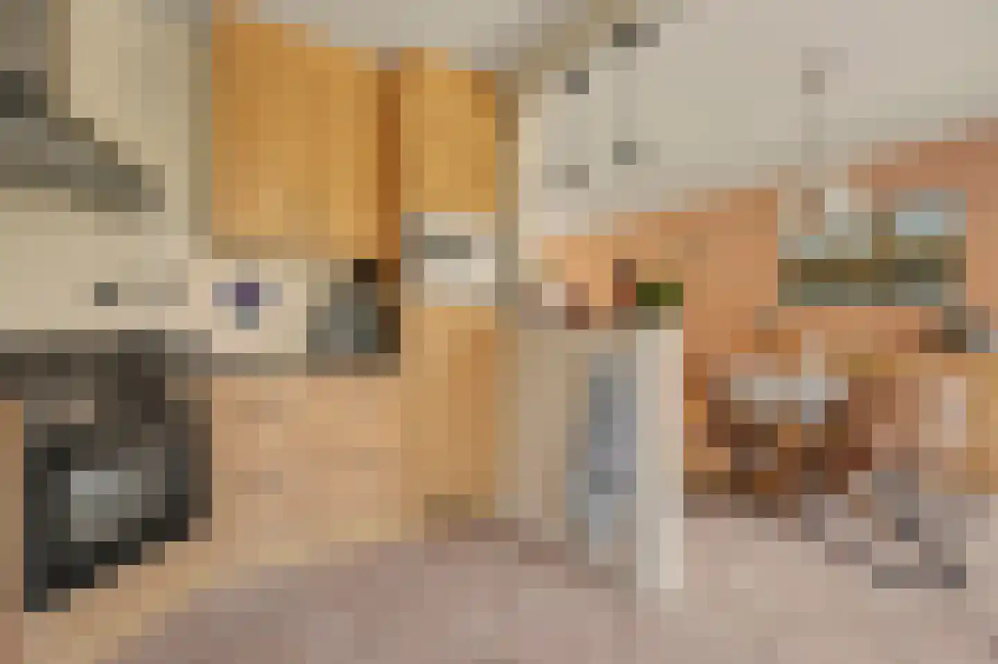 J v d Woudestraat 10 Rockanje thumbnail 13