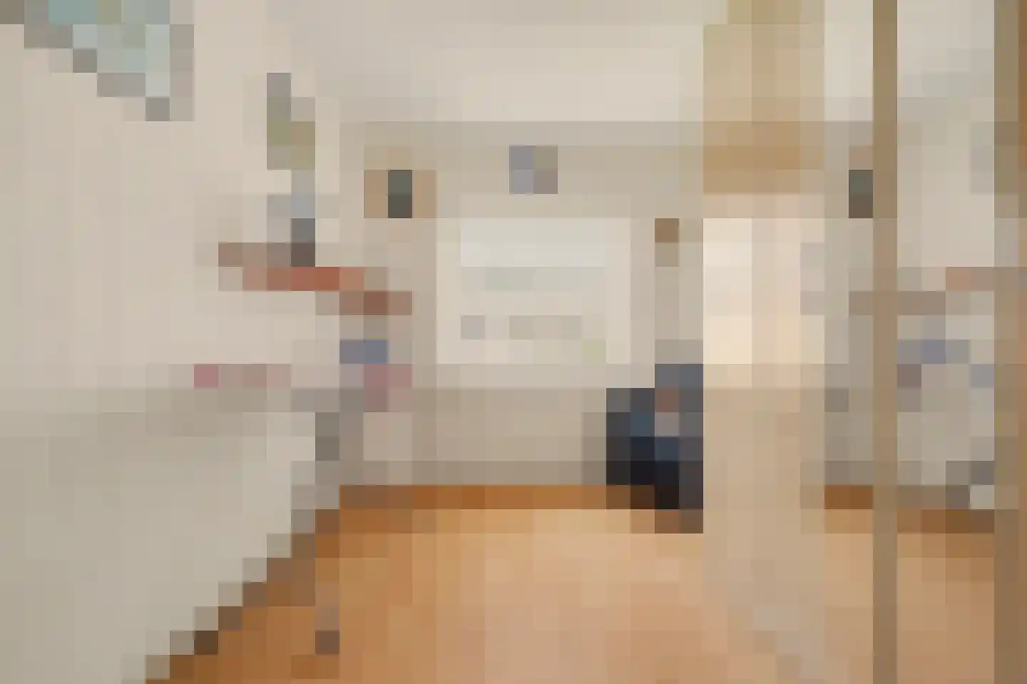 J v d Woudestraat 10 Rockanje thumbnail 19