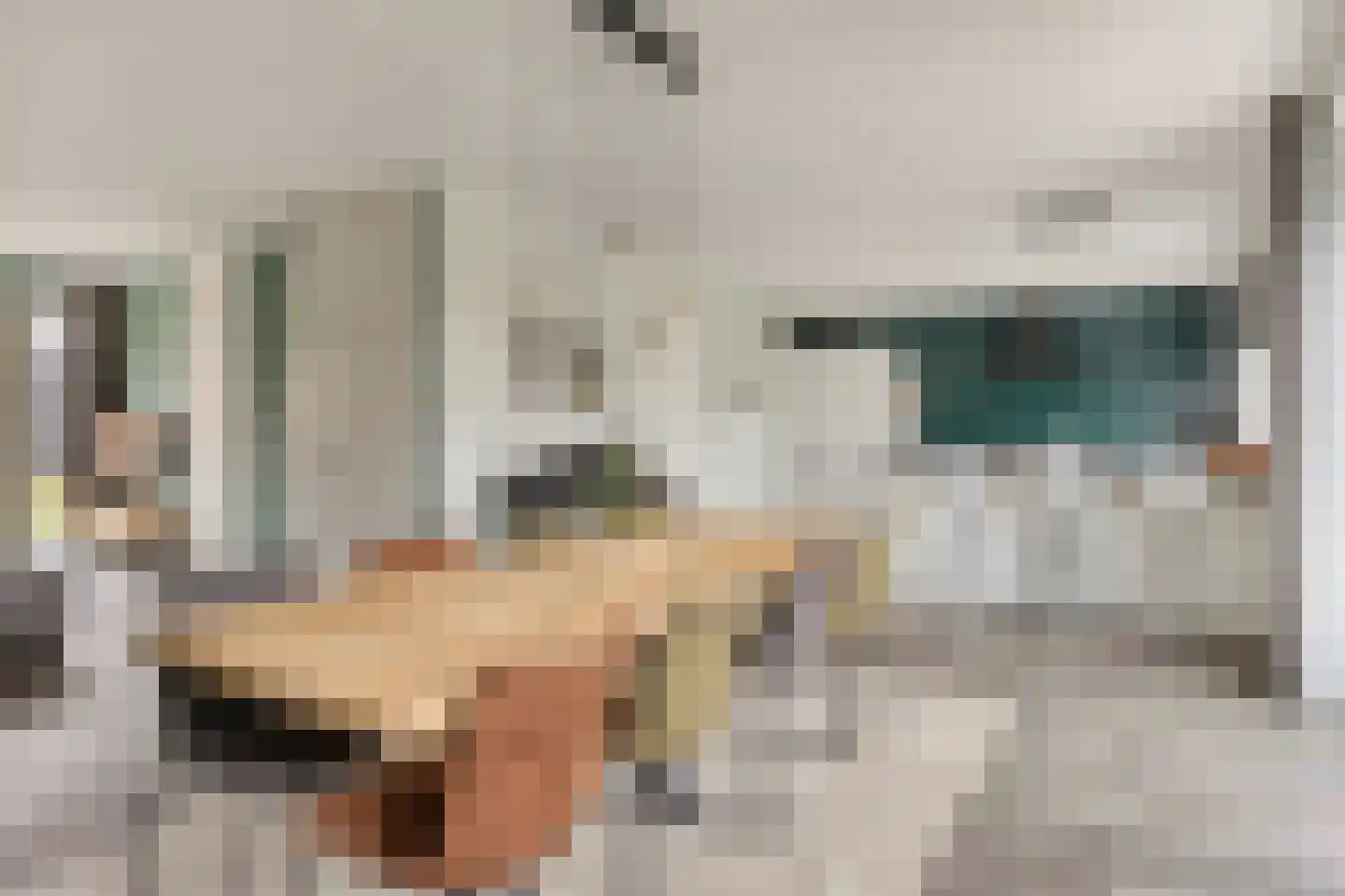 J van Damstraat 15 Kesteren thumbnail 12