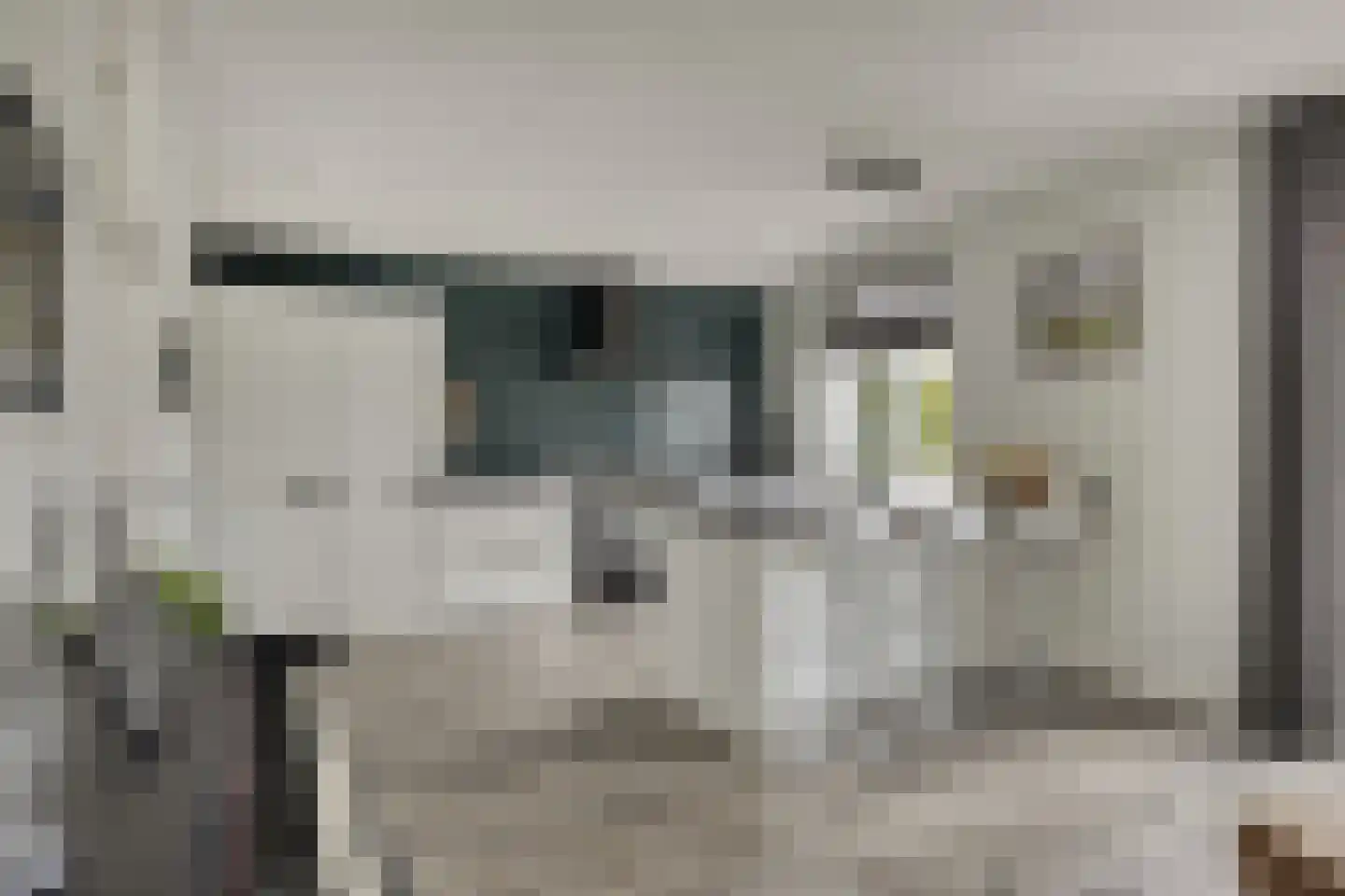 J van Damstraat 15 Kesteren thumbnail 17