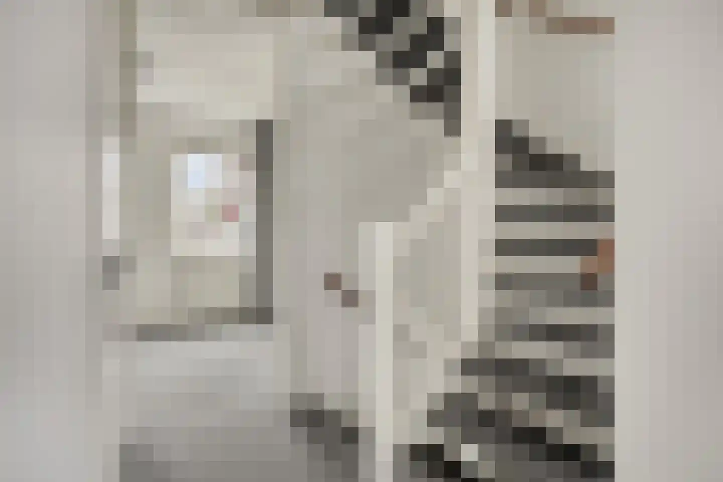 J van Damstraat 15 Kesteren thumbnail 25