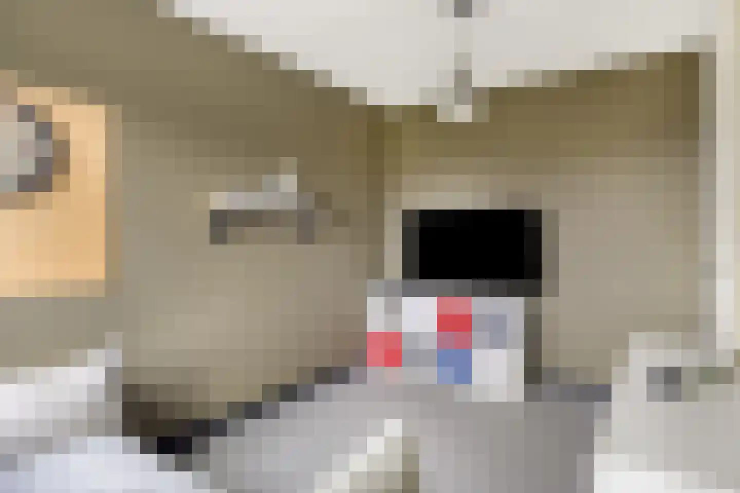 J van Damstraat 15 Kesteren thumbnail 31