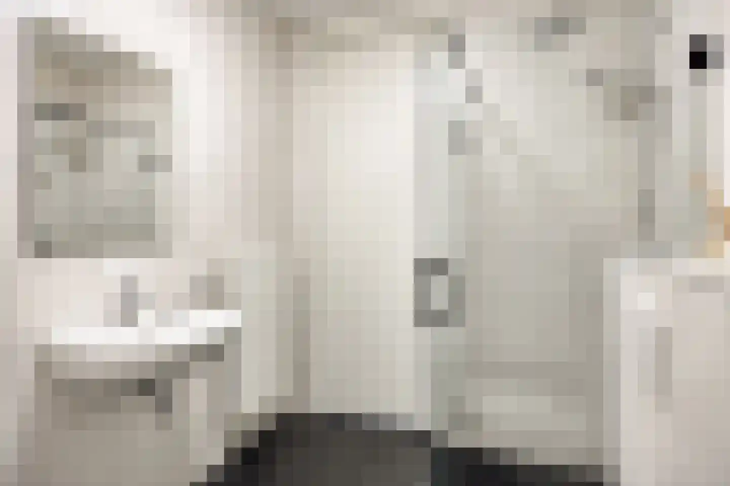 J van Damstraat 15 Kesteren thumbnail 33