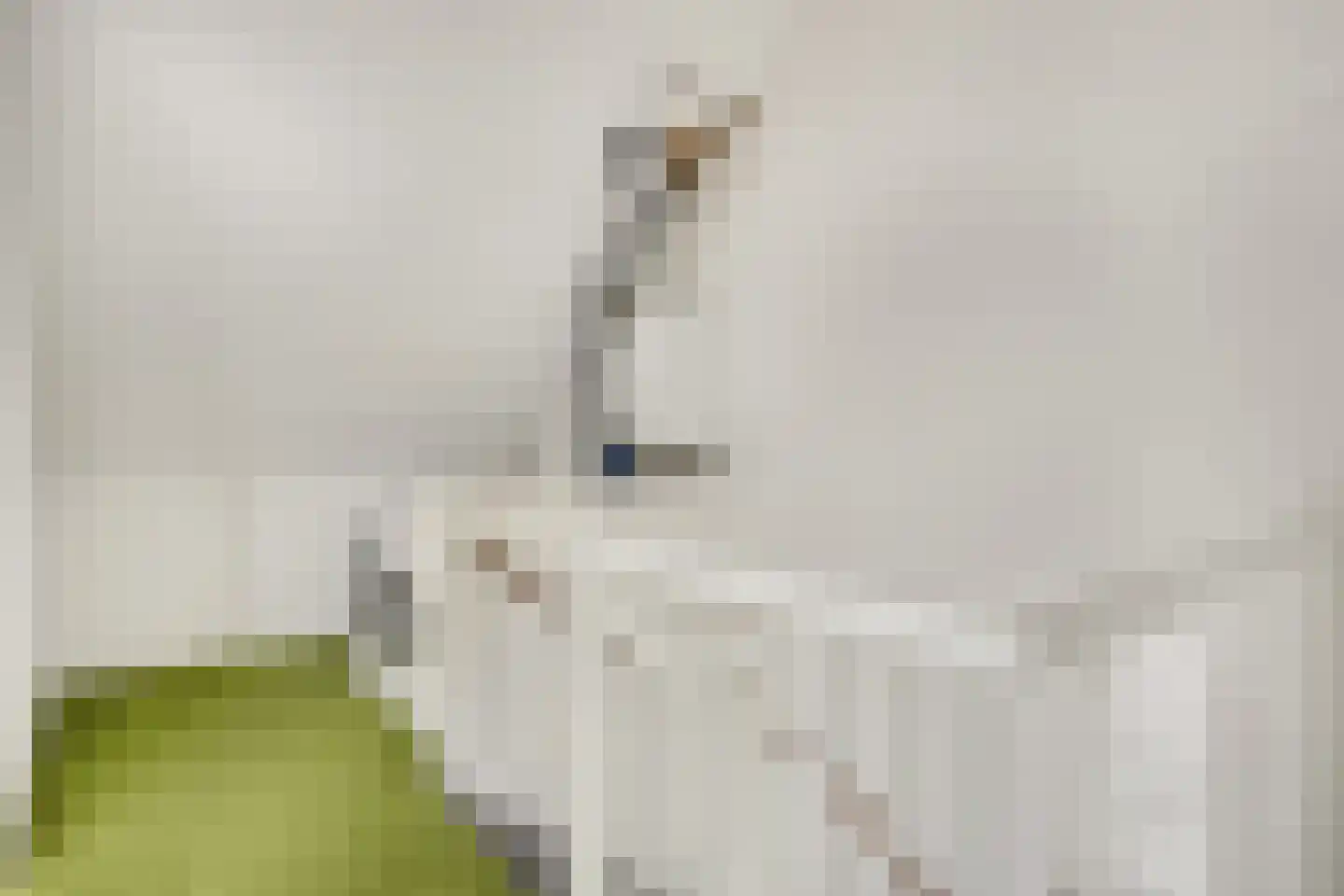 J van Damstraat 15 Kesteren thumbnail 34