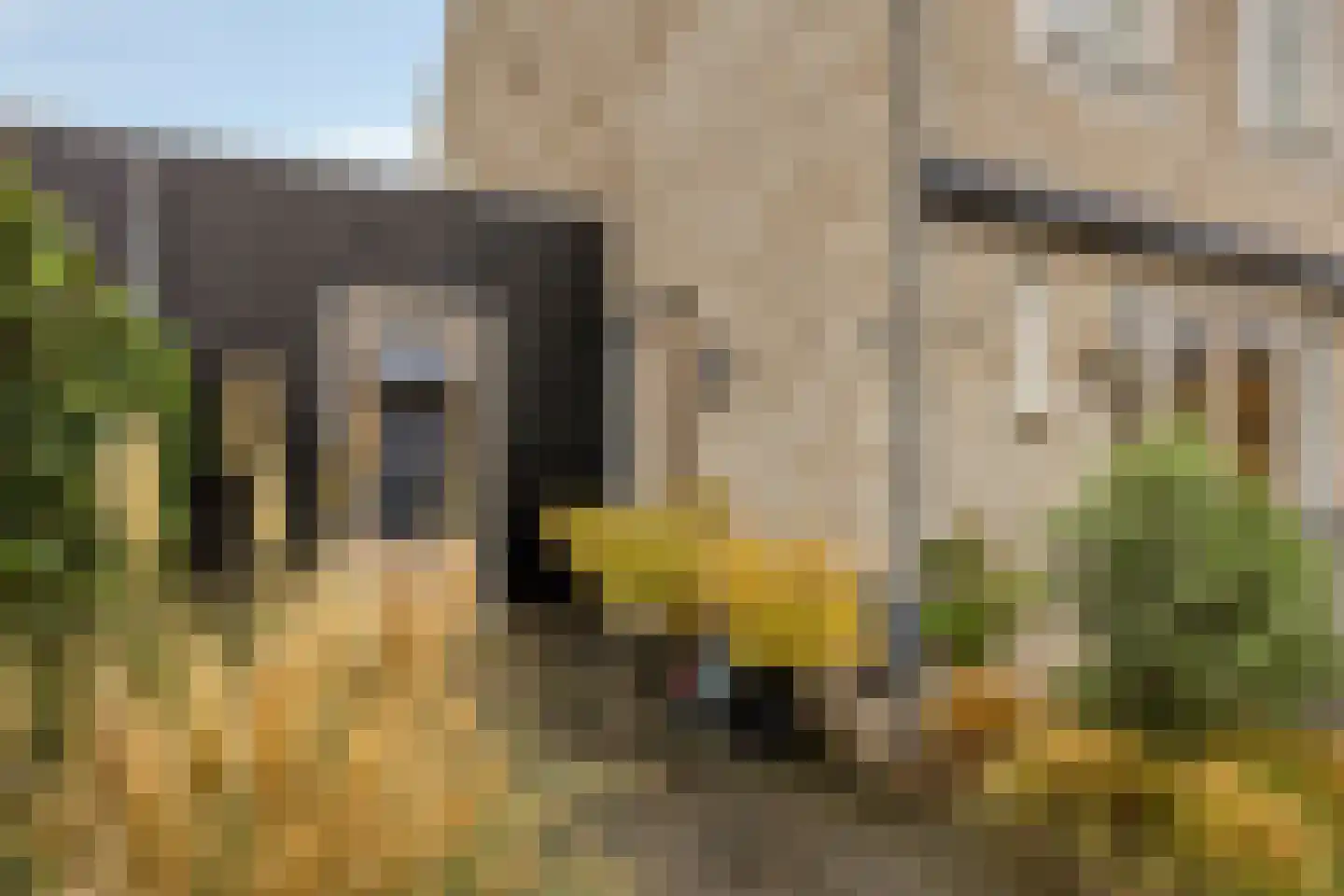 J van Damstraat 15 Kesteren thumbnail 38