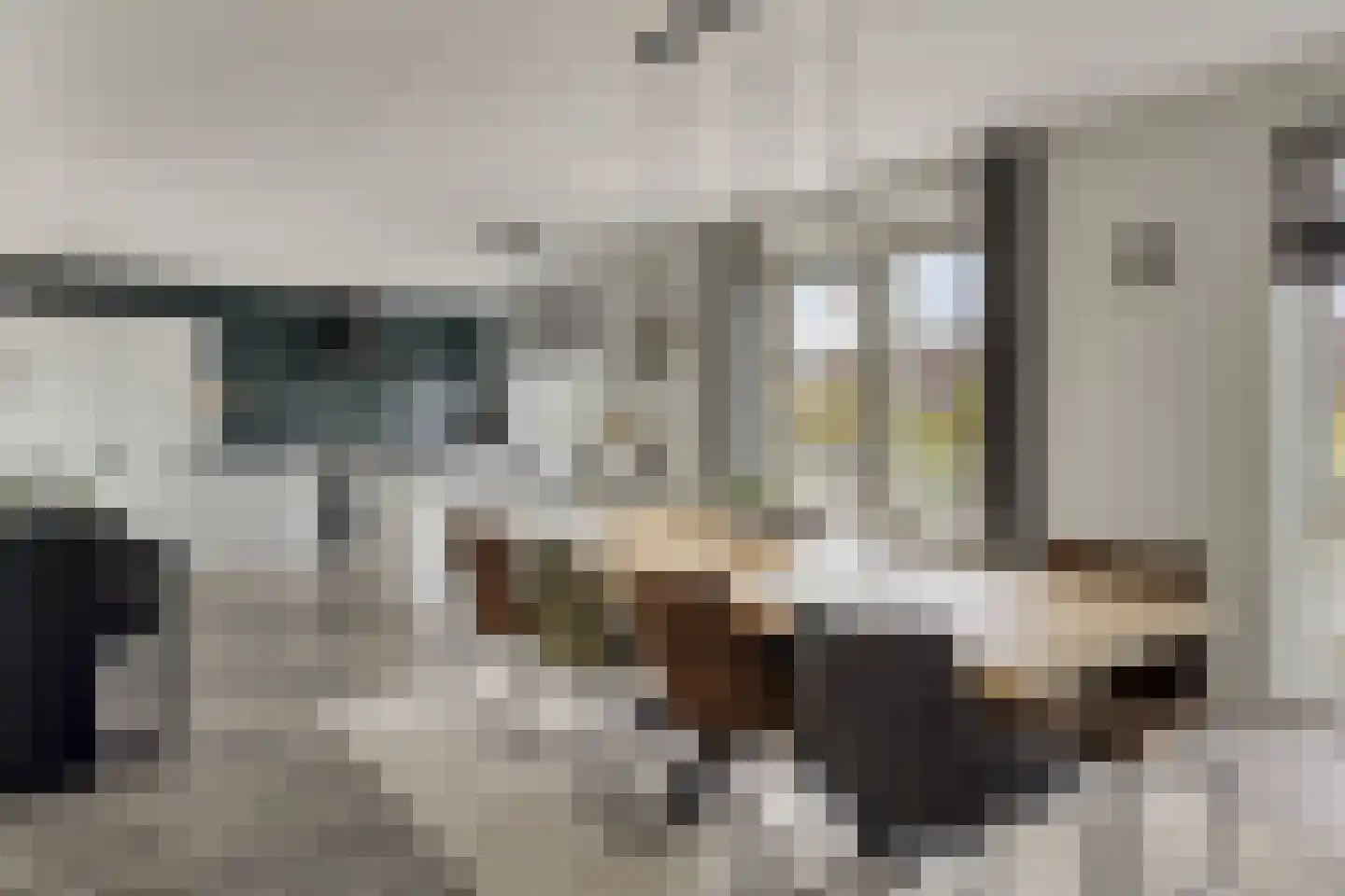 J van Damstraat 15 Kesteren thumbnail 4