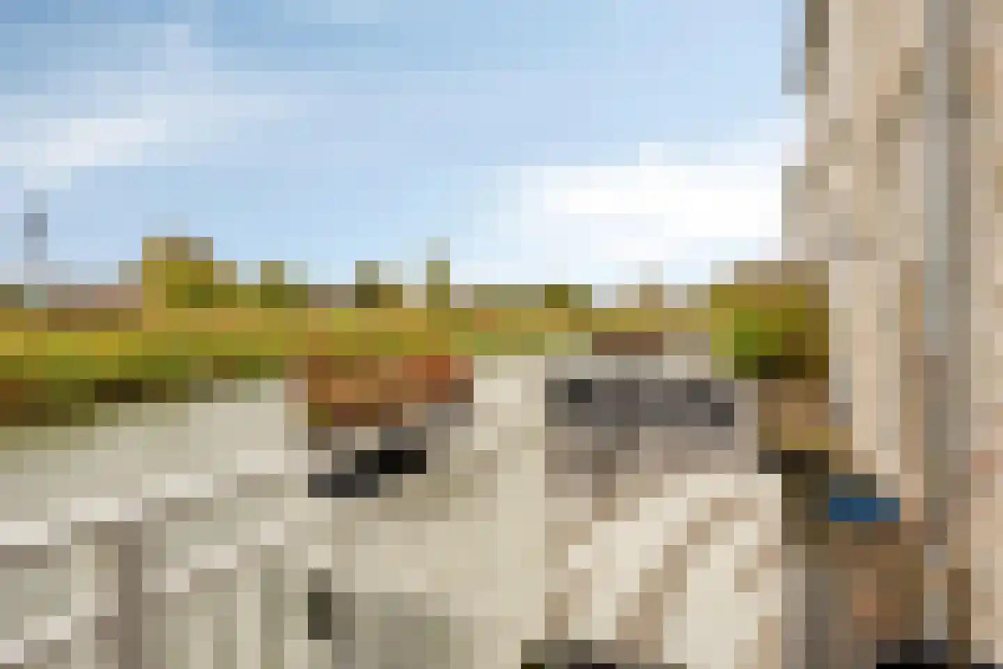 J van Damstraat 15 Kesteren thumbnail 44