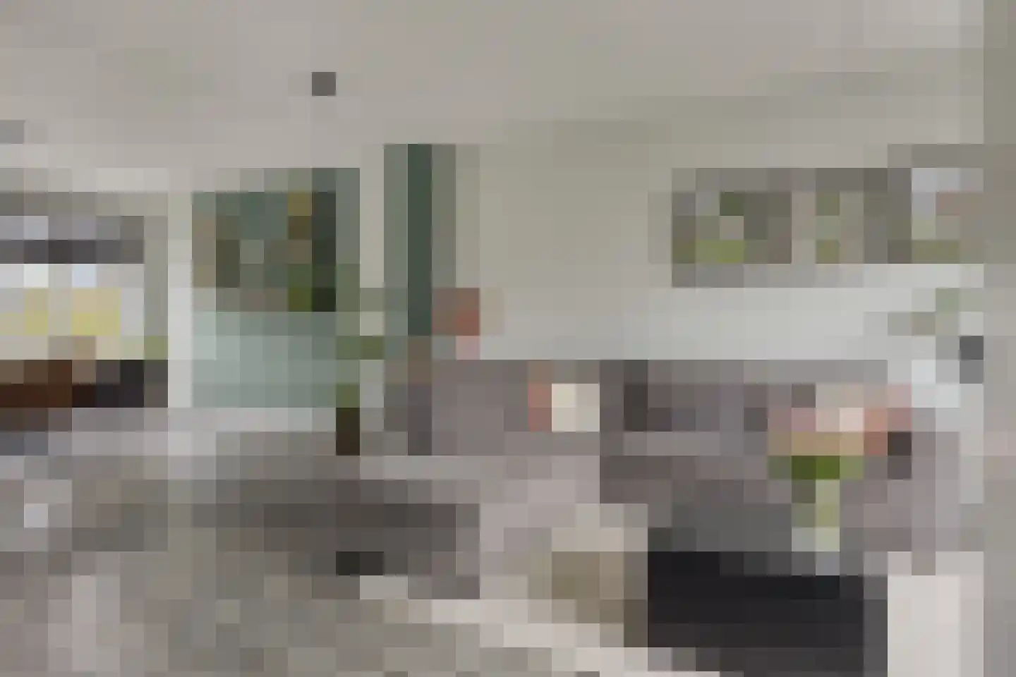J van Damstraat 15 Kesteren thumbnail 7