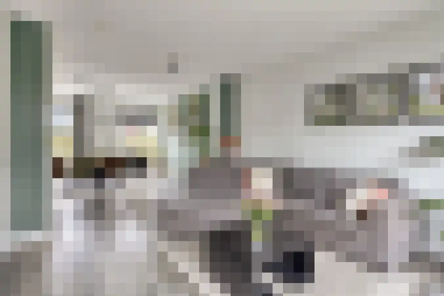 J van Damstraat 15 Kesteren thumbnail 8
