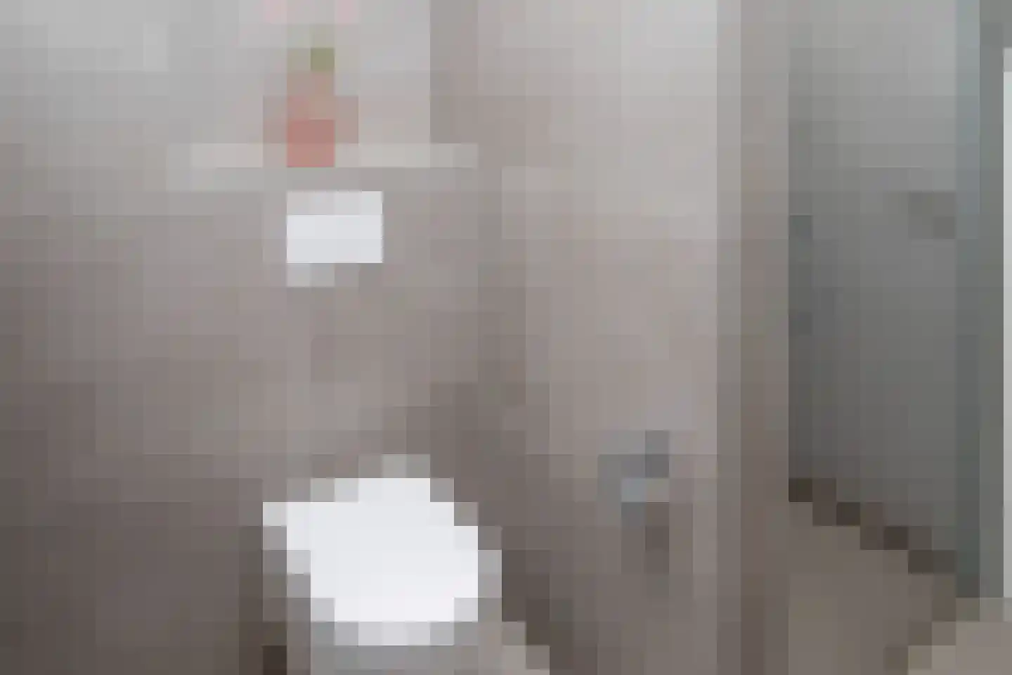 J van Damstraat 17 Kesteren thumbnail 15