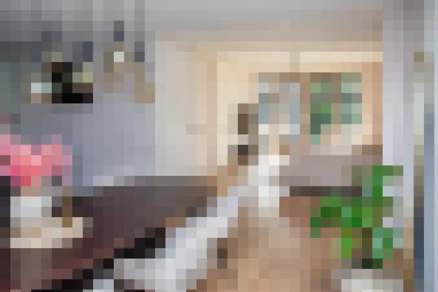J van Damstraat 17 Kesteren thumbnail 20