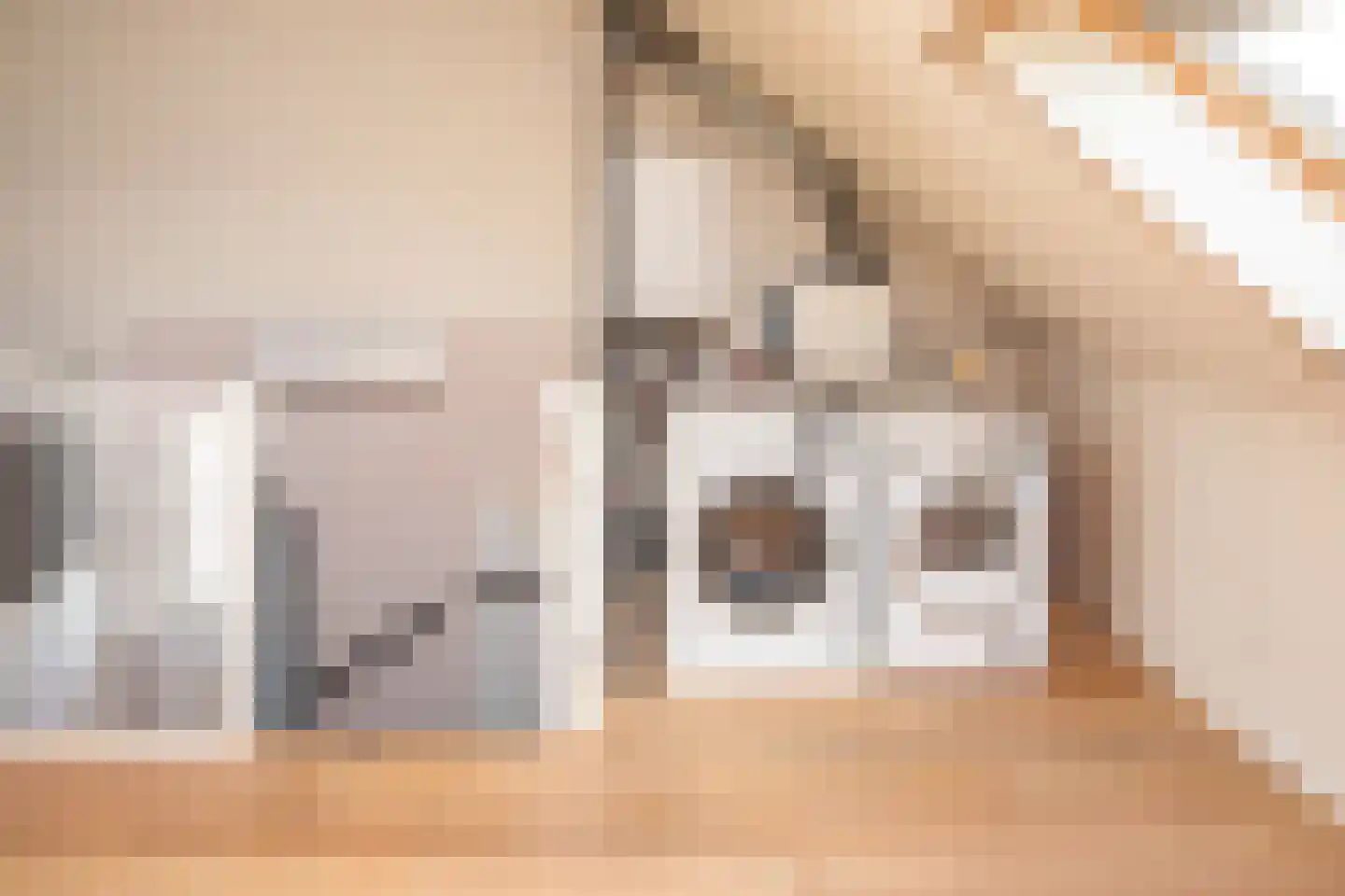 J van Damstraat 17 Kesteren thumbnail 43